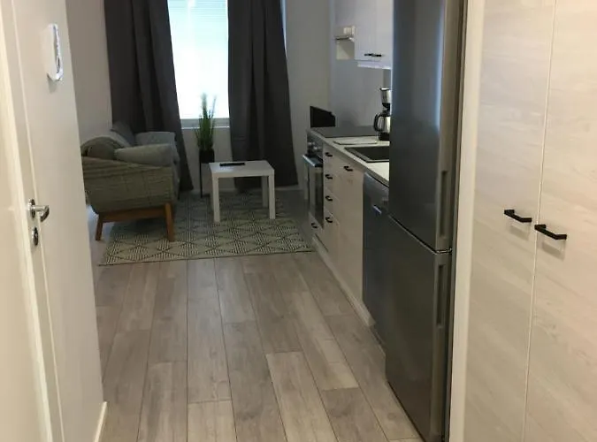 Juurikoskenkatu 公寓 *